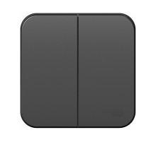Выключатель Atlasdesign Blanca BLNVA105016, 2 клавиши, б/инд, 10А, IP20